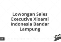 Lowongan Sales Executive Xioami Indonesia Bandar Lampung