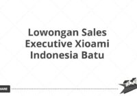 Lowongan Sales Executive Xioami Indonesia Batu