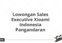 Lowongan Sales Executive Xioami Indonesia Pangandaran