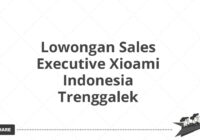 Lowongan Sales Executive Xioami Indonesia Trenggalek